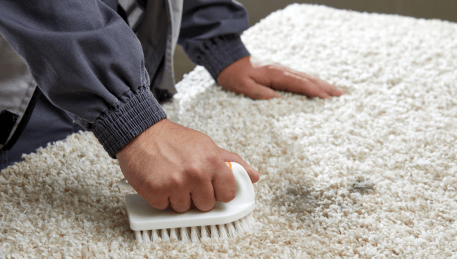 Professional Rug Cleaning Connewarre